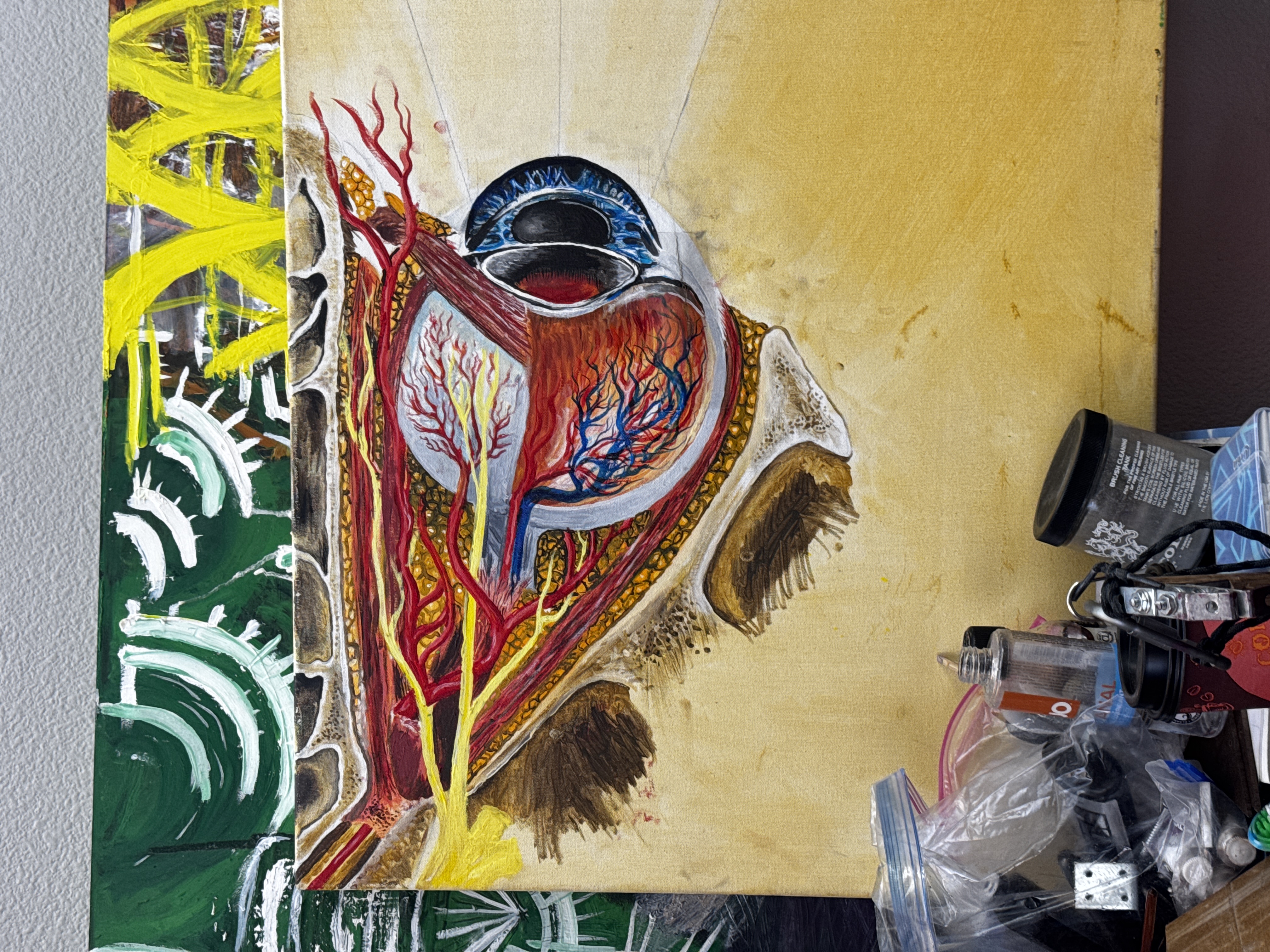 Color Fields - image 4